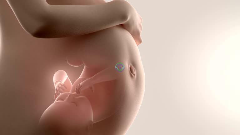 选择试管助孕套餐后，费用如何支付？