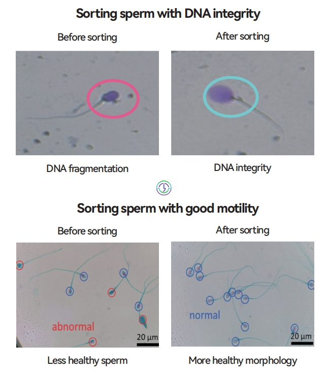 泰国LRC医院先进技术设备介绍