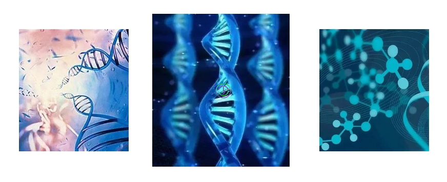 泰国LRC医院先进技术设备介绍