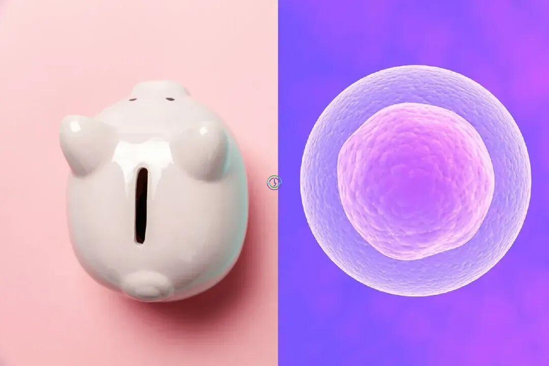 泰国LRC生殖中心 | 冻卵项目介绍（含详细流程+费用）