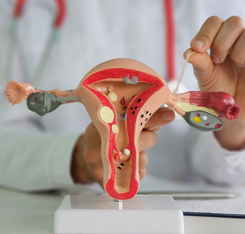 IUI是什么辅助生殖技术？人工授精成功率有多高？