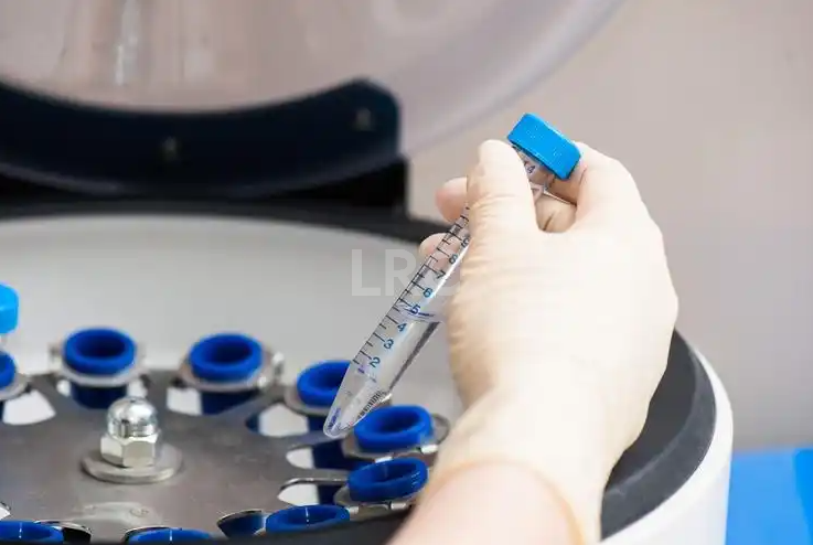 泰国试管冻卵医院2026权威排名，放心选择优质服务！