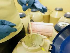 2026年五家泰国医院冻卵服务对比：哪个更值得选？