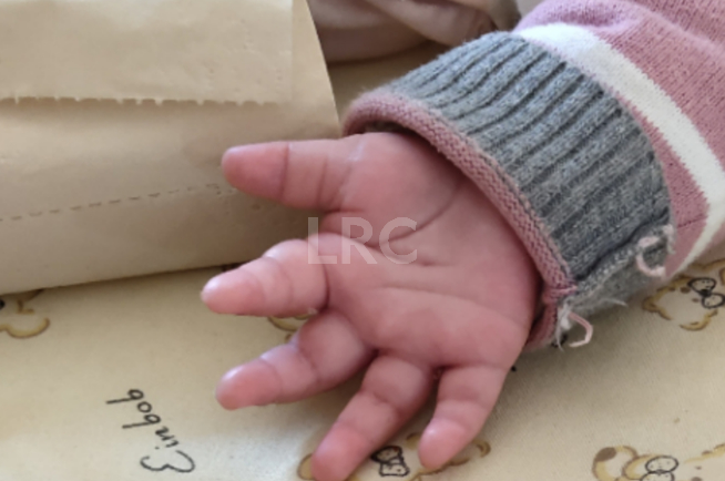 泰国冷冻卵子报价，单次与年度收费有什么区别？