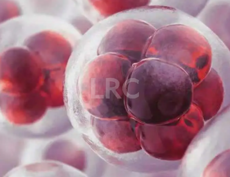 2026年泰国做试管冻卵一般多少钱？