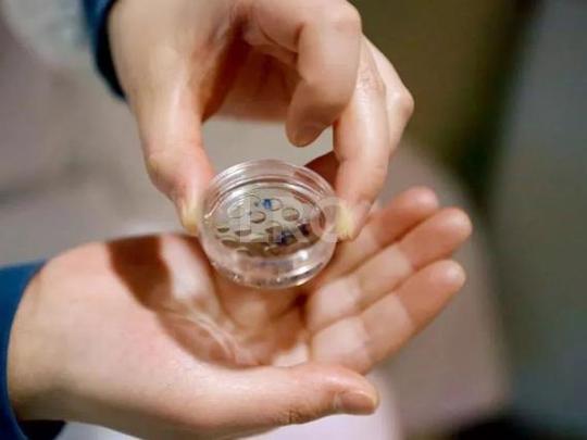 泰国冻卵口碑好的医院有哪些，附最新排名详情