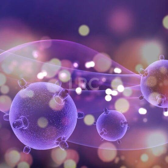 AMH0.18+高龄预警！LRC个性化温和刺激方案，开出取卵3、受精2、成囊2的好成绩~