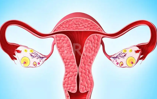 泰国冻卵具体花费多少？全面掌握试管冻卵支出明细！