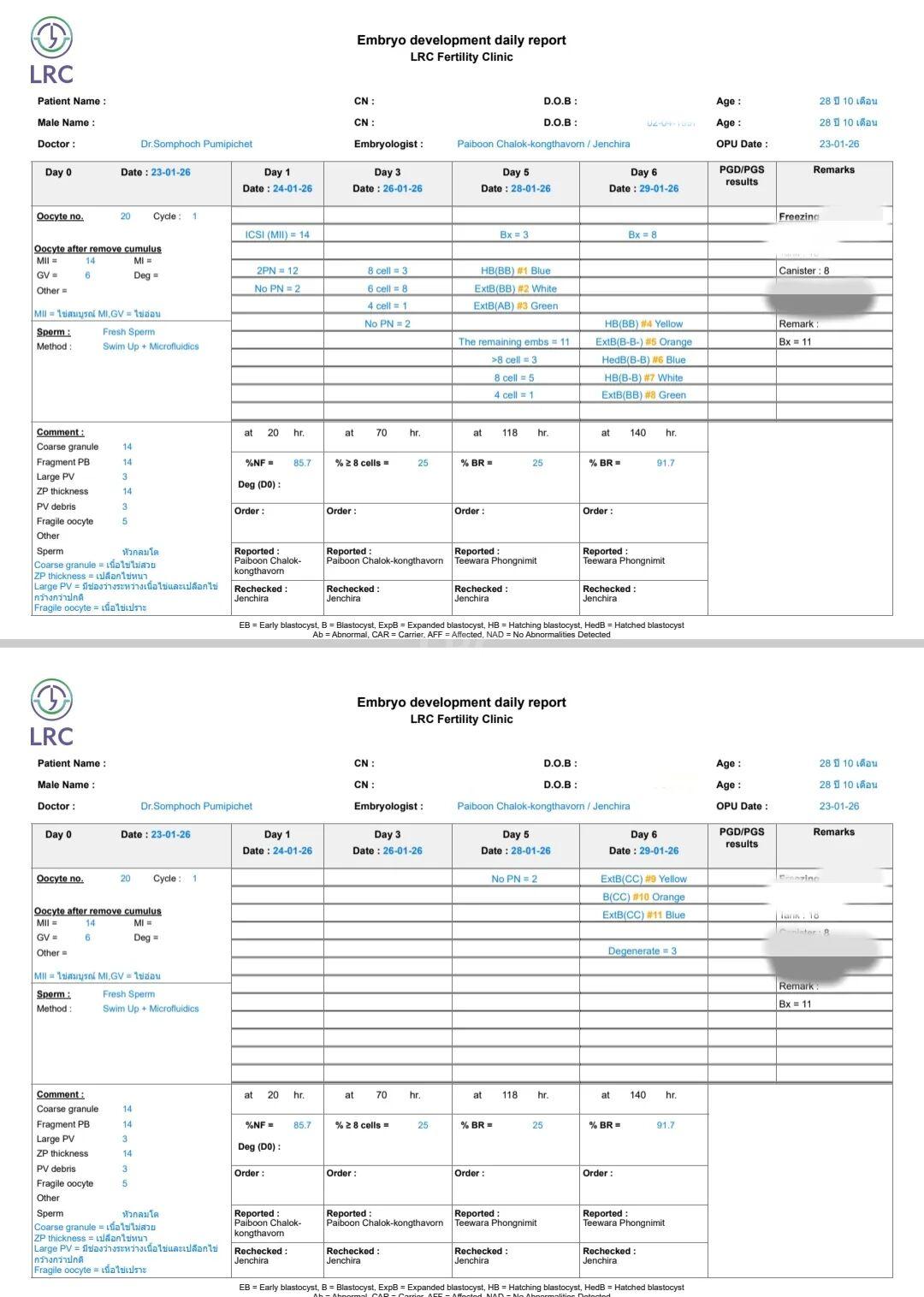 双侧巧囊+男方精子差？LRC个性化诊疗，取20卵成囊11颗，好孕破局~