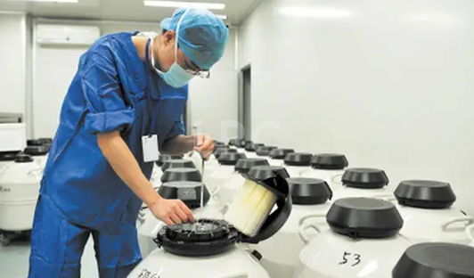 泰国试管婴儿冻卵费用大概需要多少？