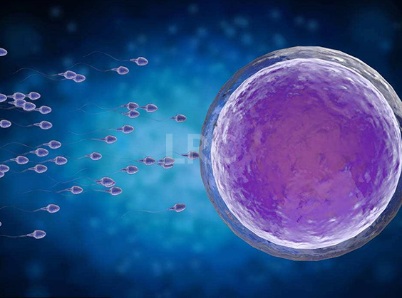 泰国LRC医院做冻卵费用如何计算?大概要花多少钱?