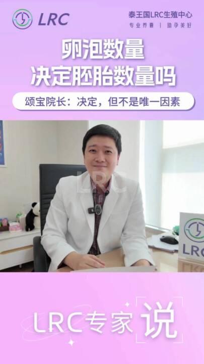 卵泡数量决定胚胎数量吗？颂宝提示：卵子质量、精子质量，缺一不可！