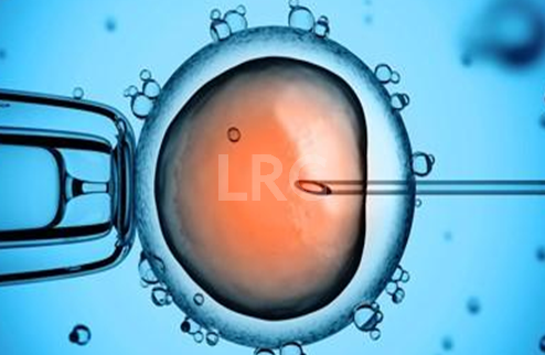 如何判断自己适合“短平快”试管还是“慢工细活”调理型方案？LRC经验谈