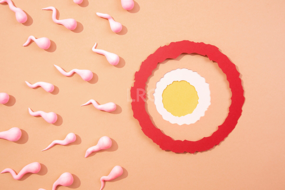 备孕无果的秘密:月经正常,排卵却可能是 “假的”!