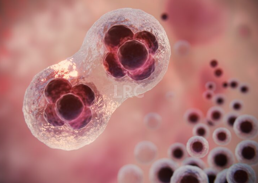 备孕无果的秘密：月经正常，排卵却可能是 “假的”！