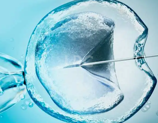 试管移植后饮食禁忌大全：这些能吃这些不能吃