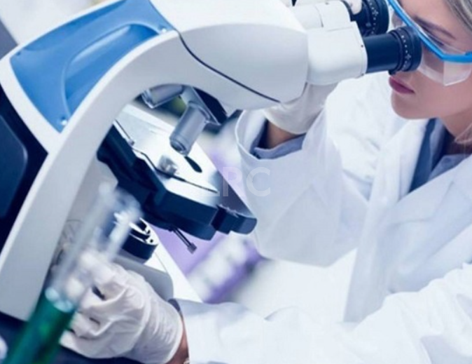 高龄用户在LRC连续2–3个周期促排的累积活产率，值不值得持续尝试？