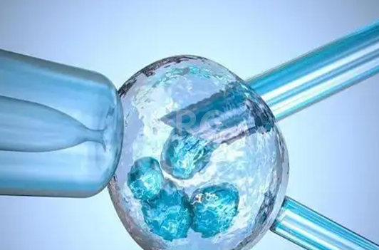 去泰国做冻卵的费用包含哪些项目?详细费用清单!