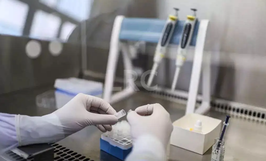 泰国LRC生殖中心靠谱吗？从实验室技术到中文翻译服务，一篇给你讲透