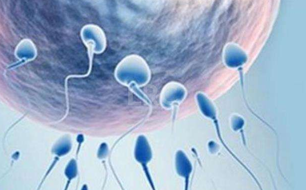 高同型半胱氨酸血症+反复流产,在LRC长期用药+试管流程下的成功率数据