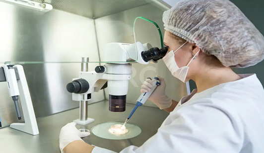 LRC试管医院冻卵费用明细大公开，医疗与生活服务费用清晰透明！