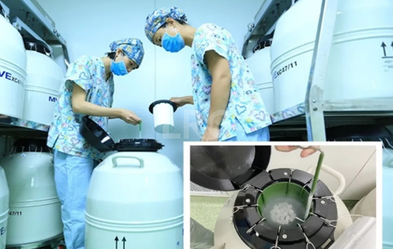 怀疑自己有“隐形多囊”,在泰国LRC如何做系统评估和促排设计?