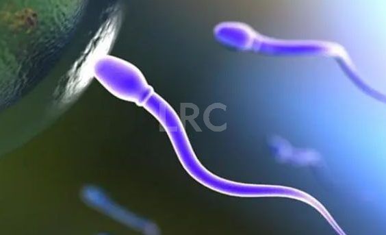 泰国LRC针对男性染色体平衡易位携带者的三代试管成功率情况