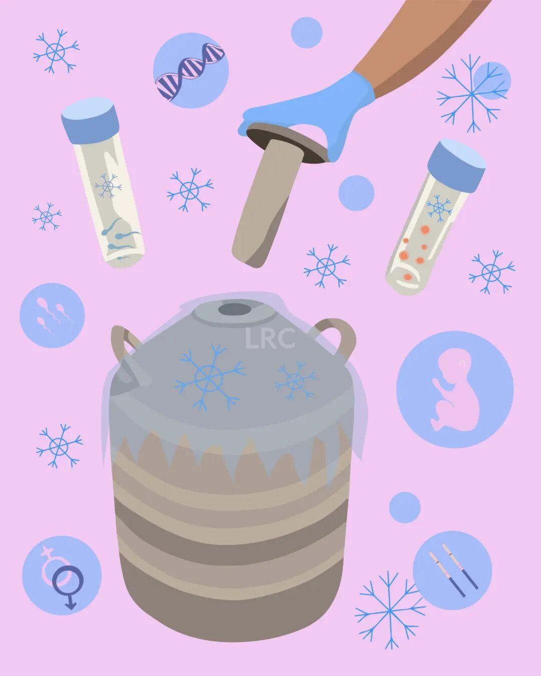 冻卵这件事，到底是在“未雨绸缪”还是“焦虑消费”？