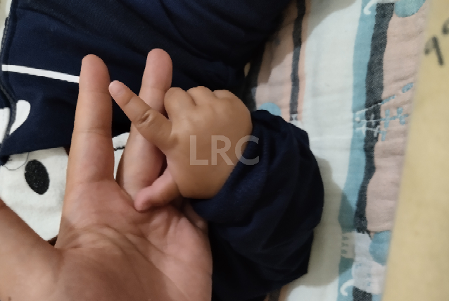 鲜胚移植vs冻胚移植,大数据告诉你哪个更好