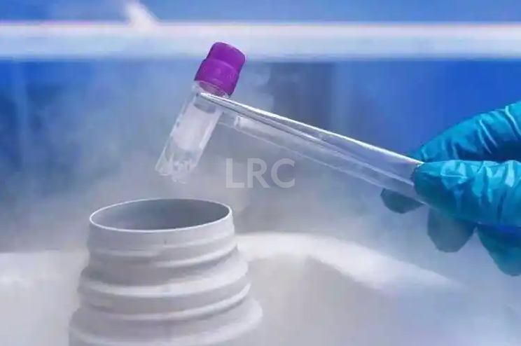 2026年泰国哪家冻卵机构成功率最高?泰国试管冻卵医院排行榜