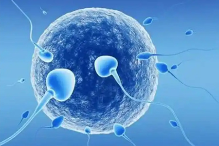 泰国三代试管婴儿成功率