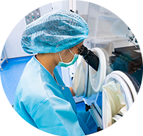 调理内膜和转化内膜